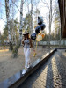 Набор шаров "Happy Fucking B-day"